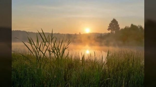 Клип на песню из к/ф "Сваты" Апрель