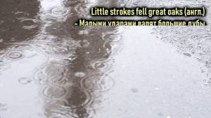 Мудрость мысли. Что означает выражение ВОДА КАМЕНЬ ТОЧИТ