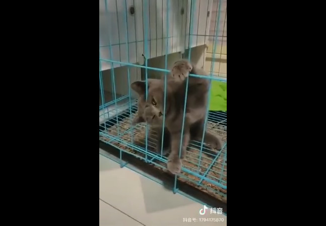 Особый вид жидкости смотреть онлайн