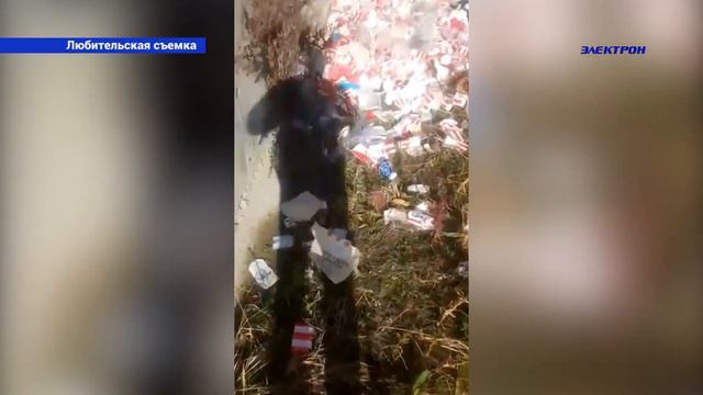 В русле р.Адагум вновь обнаружили свалку отходов ресторана быстрого питания. смотреть онлайн