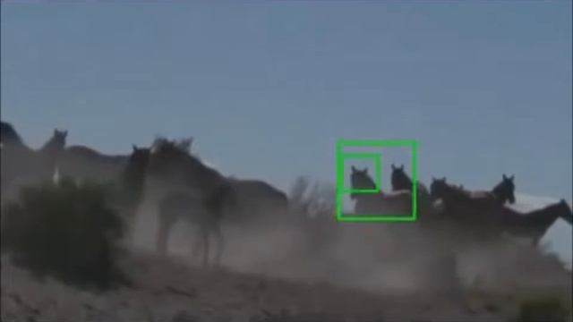 Salient features, combined detectors and image flipping смотреть онлайн