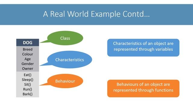 Real World Example - Objects & Classes | ICSE Computer Applications | Java & BlueJ смотреть онлайн