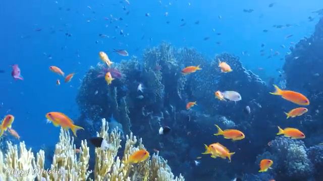 Расслабляющая музыка для души 🐠 лечебная музыка для сердца и сосудов, музыка для души смотреть онлайн