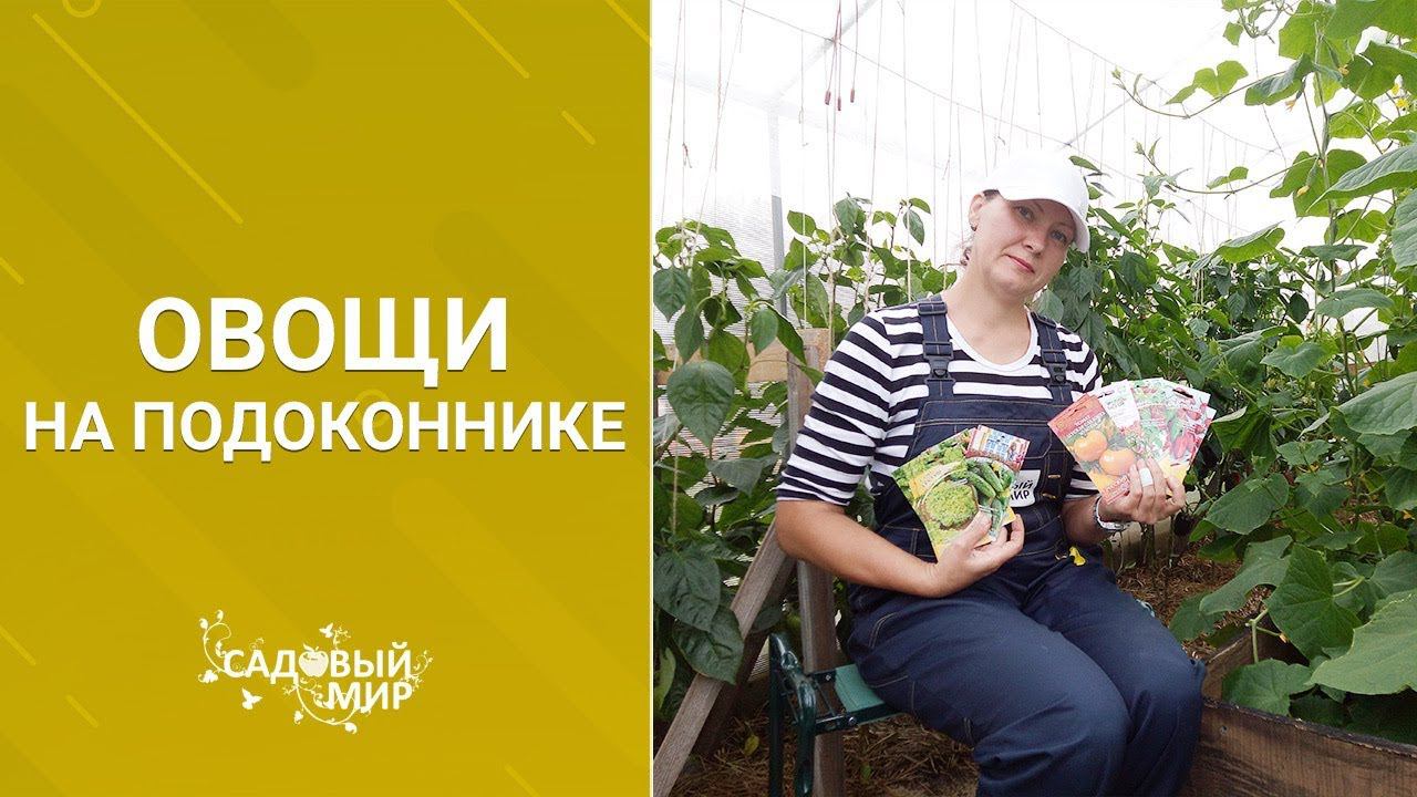 Растим овощи на кухне осенью и зимой. Огород на подоконнике! смотреть онлайн