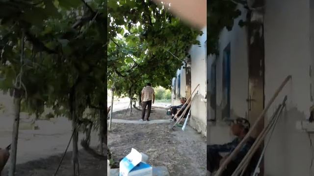 Moldoveni in crocmaz смотреть онлайн