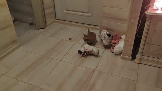 И было время пять утра.. Когда же я высплюсь... смотреть онлайн