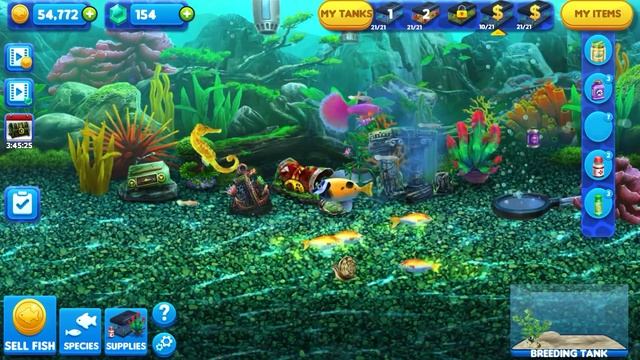 Fish tycoon 2. HOW TO GET MAGIC FISH OF MATURITY смотреть онлайн