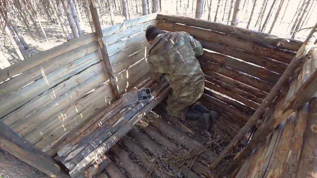 Building a tree house in a wild forest. Deadwood lounger. Hay roof. Part 4. смотреть онлайн