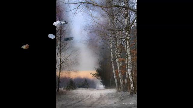 Шуберт Мюллер Ворон Сергей Шапошников смотреть онлайн