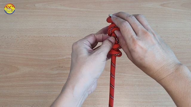 How to Tie Knots Rope diy idea for you #knots #diy #viral смотреть онлайн