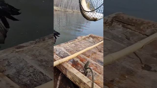 Рыбак смотреть онлайн