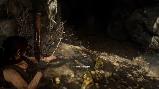 Rise of the Tomb Raider #47 Продолжаем Пройдите по Тропе до Башни смотреть онлайн