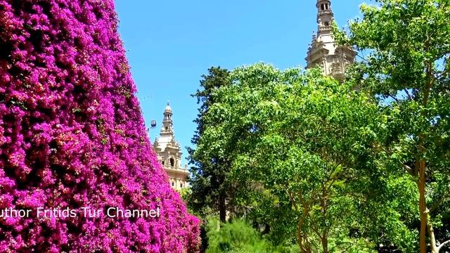 Historic Botanical Garden Barcelona смотреть онлайн