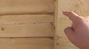 пристрой к срубу как лучше  приладить ???