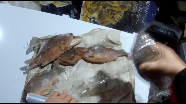 Как правильно хранить рыбу. Заморозка, упаковка, разделка рыба. смотреть онлайн