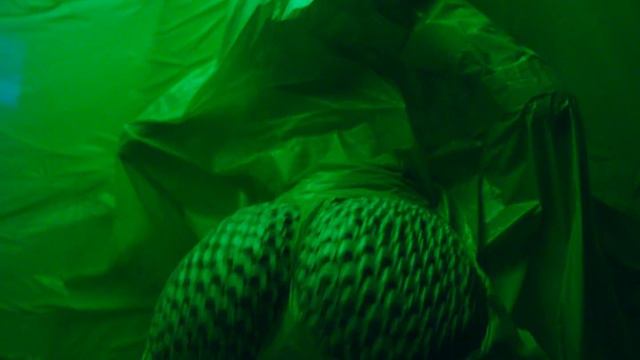 PollyHill and Dera Meelan - Pulse смотреть онлайн