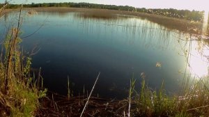 Рыбалка в мае на линя.Рыбалка в Латвии.Линь на поплавочную снасть .Чем подкормить линя.