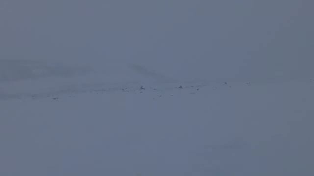 Вездеход 6х6 "ТАЙМЕНЬ", "БУРЛАК" и "ЕМЕЛЯ". Часть 8. Заключение смотреть онлайн