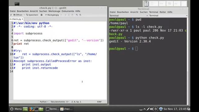 Python-Programmierung - subprocess - einfache Ausgaben verarbeiten смотреть онлайн