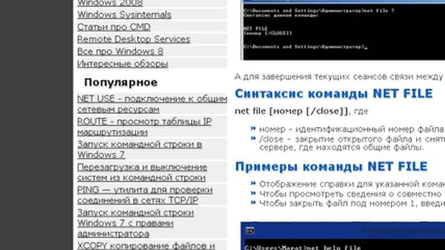 NET FILE - просмотр открытых сетевых файлов смотреть онлайн