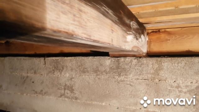 Таблетки хлора для обработки подполья от грибка. Измерение влажности Влагомером балок подполья смотреть онлайн
