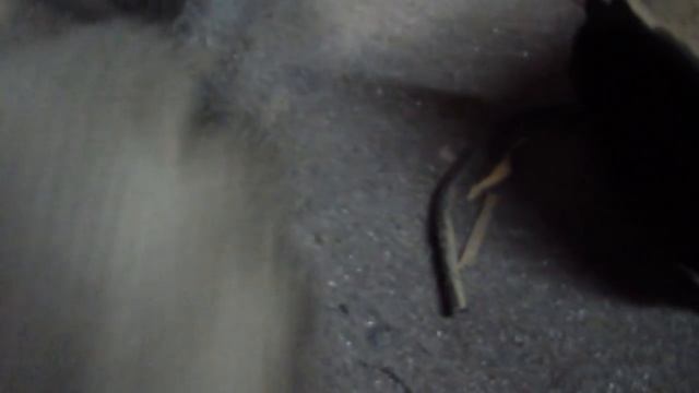 Как Сделать с Заботой