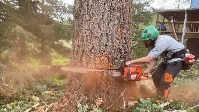 IDIOTS WITH CHAINSAWS!!! My First Tree Job as a Business Owner смотреть онлайн