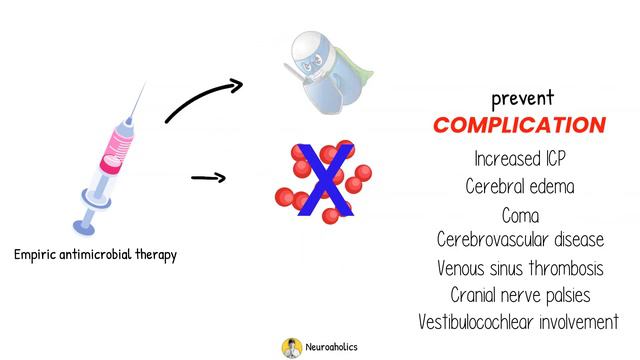 Bacterial meningitis CNS Infection | Neuroaholics смотреть онлайн