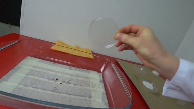 КЕРОСИН ОТ КЛОПОВ — проверяем эффективность смотреть онлайн