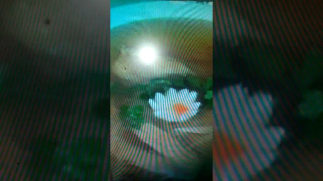 молдавские застолья смотреть онлайн