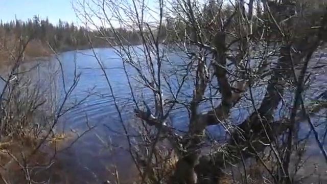 первый выезд после зимы смотреть онлайн