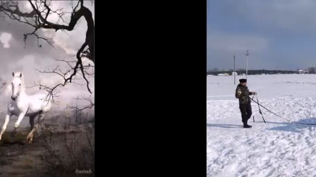 клип под музыку ой бегут, бегут лошадки123311 смотреть онлайн