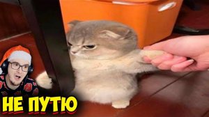 ЗАСМЕЯЛСЯ - ПРОИГРАЛ ► ЛУЧШИЕ ПРИКОЛЫ ( УЛЫБНУЛИСЬ ПРОИГРАЛИ СМЕХОТЕНЬ ) | Реакция