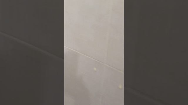 Sanfor против известкового налёта