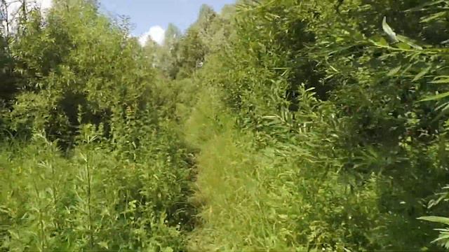 ТУТ ЖИВУТ БОМЖИ смотреть онлайн