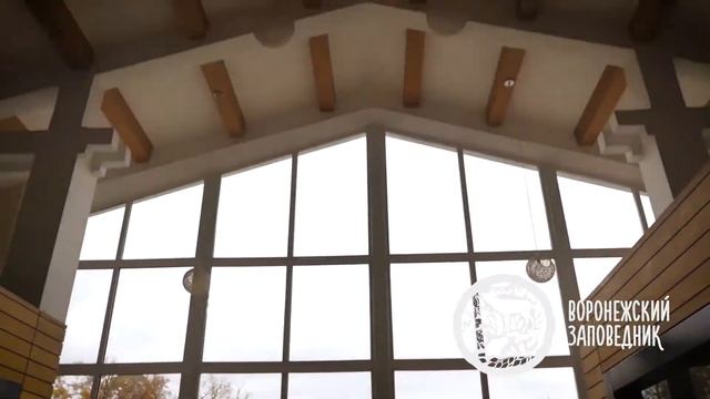Бобровский заповедник Воронеж смотреть онлайн