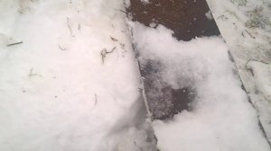 Чистим мокрый снег. Доработки снегоуборщика к мотоблоку.