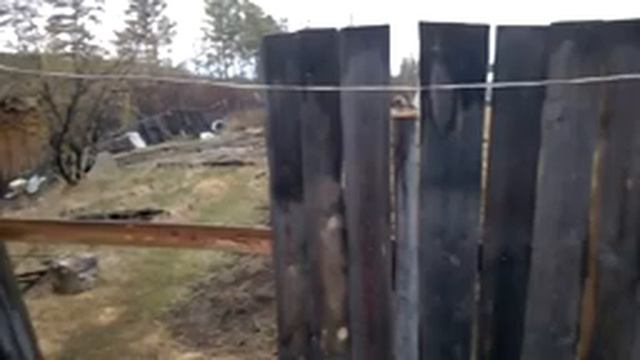 Психология жизни на примере дачи смотреть онлайн