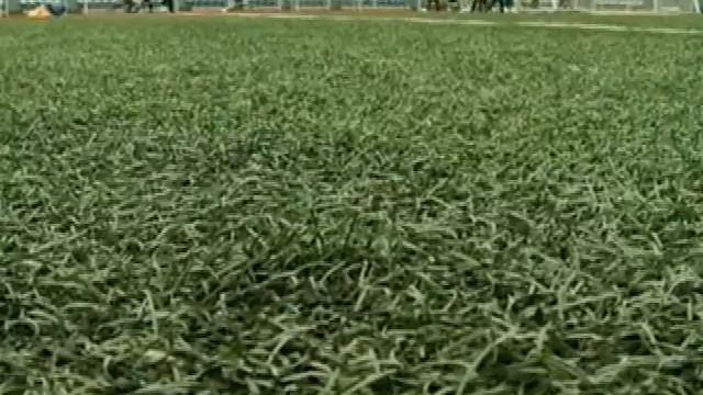 В Рязанской области появятся 2 новых футбольных поля смотреть онлайн