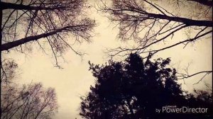 А я пойму все по глазам