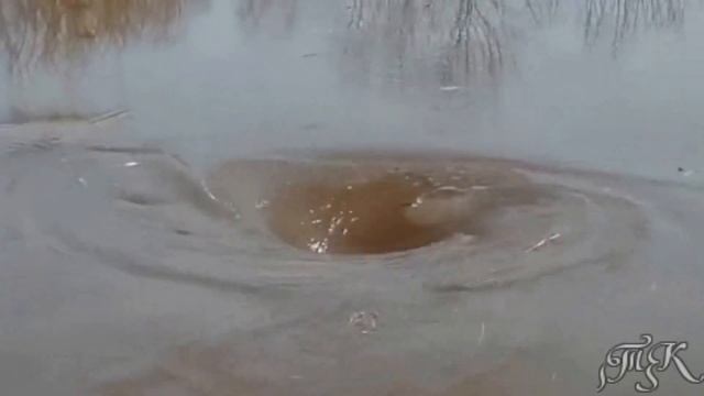 Половодье на реке Ветлуга  The High Water On The River Vetluga