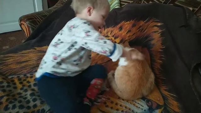 Руки нужно мыть , а кота отпустить . смотреть онлайн