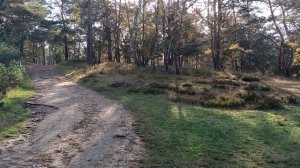 Идущий к реке.