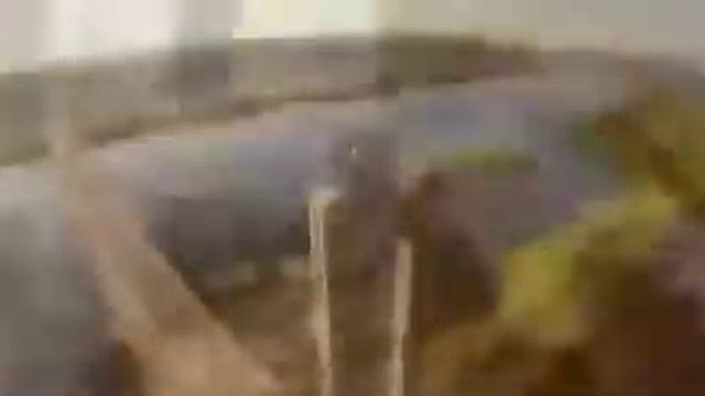 19 марта 2022 г. ЖЕЛАЮ МИРА ВСЕМ! смотреть онлайн