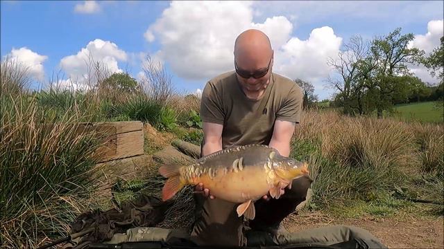 Carp fishing - The Syndicate lake part 2 - a hectic session!! смотреть онлайн