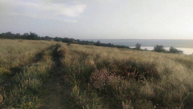 Отрадово Дачный Массив-2 смотреть онлайн