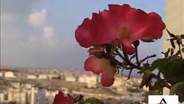 Говорят, есть страна... смотреть онлайн