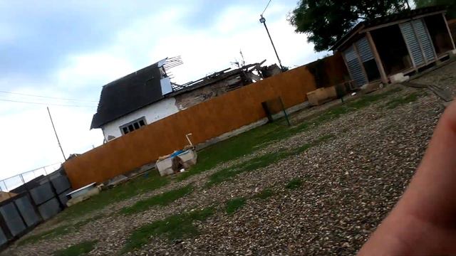 Питбуль Кияра встретилась с дерзкой дворяжкой! Вся Банда бегает на улице! Утро после Краснодара. смотреть онлайн