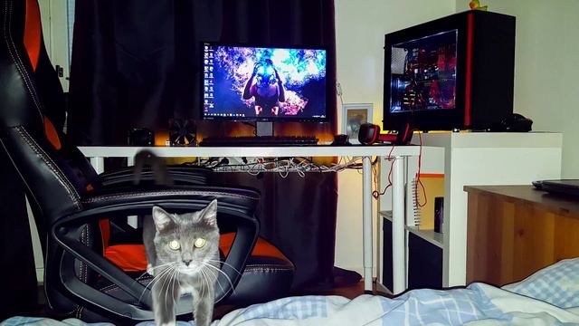 Tech Room Setups EP.5 - The Most Creative, Productive & Unique Setups смотреть онлайн