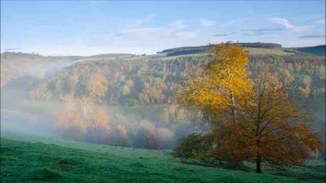 Невестка считает, что мы для нее не ровня. Поэтому сын не приедет поздравить родную маму с 8 Марта. смотреть онлайн